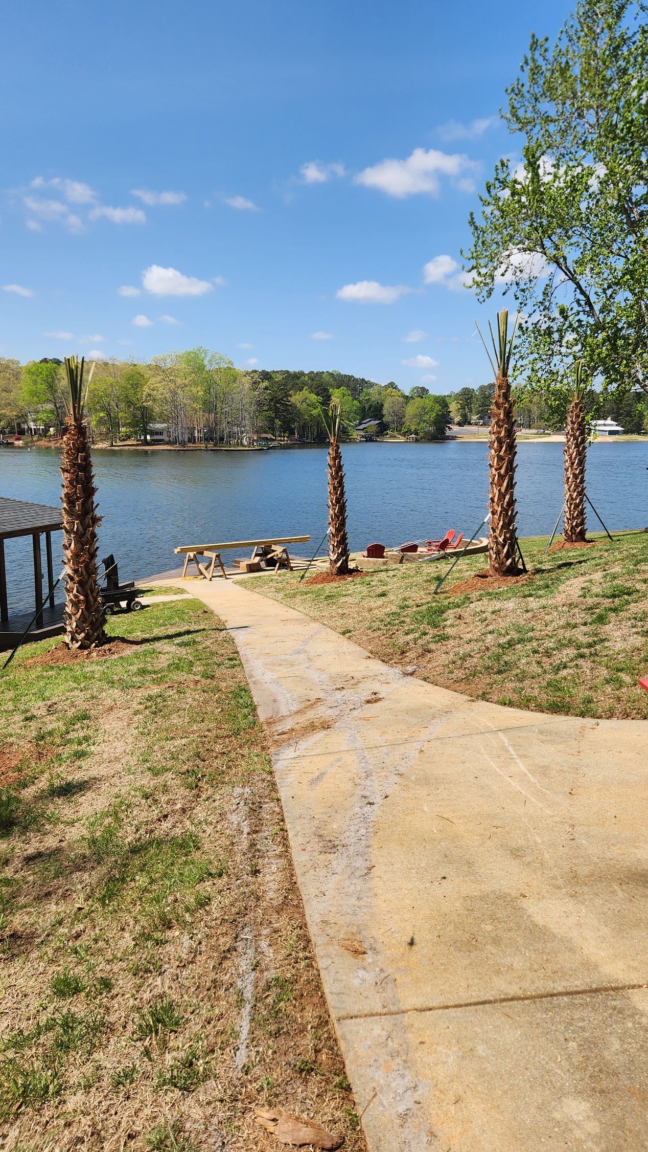 Concrete path leading to a lake, with trees, grass, and a blue sky on a sunny day