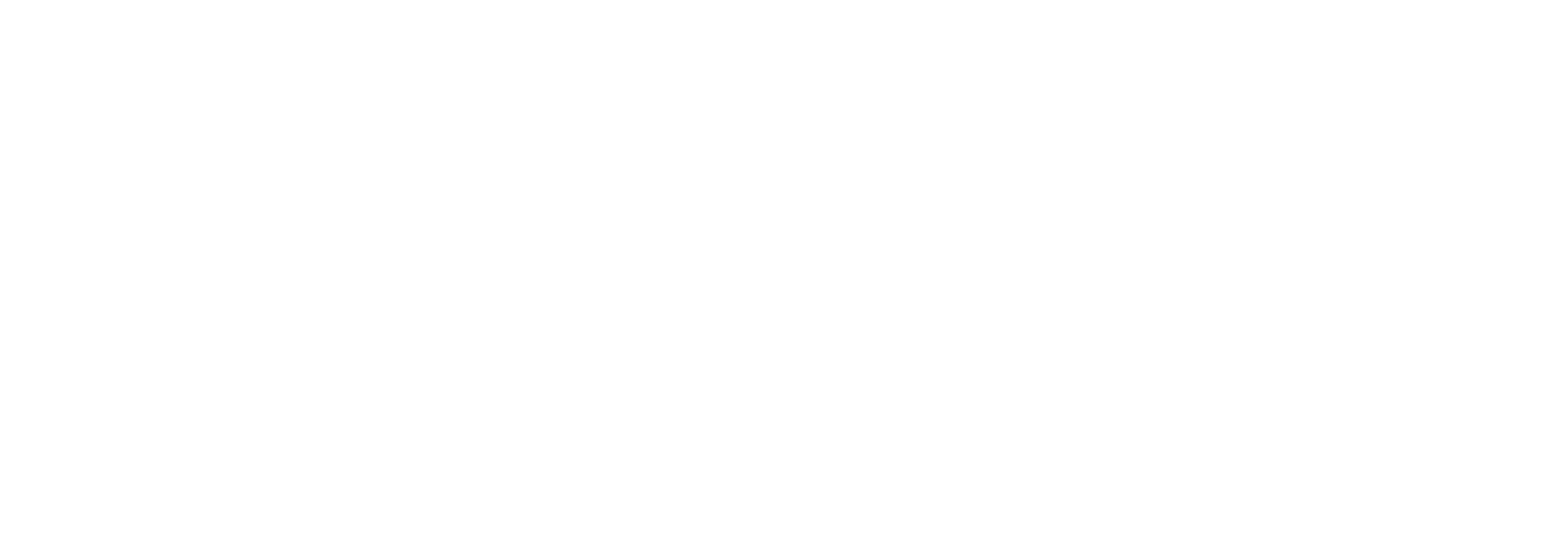 Paradise Palms logo
