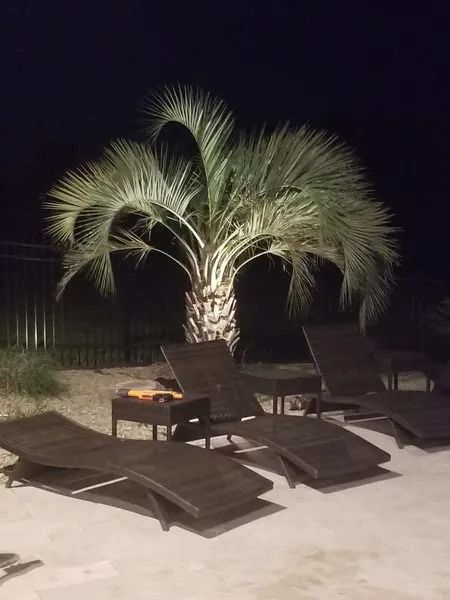 Backyard patio at night with lounge chairs, a fire pit, and a lit palm tree