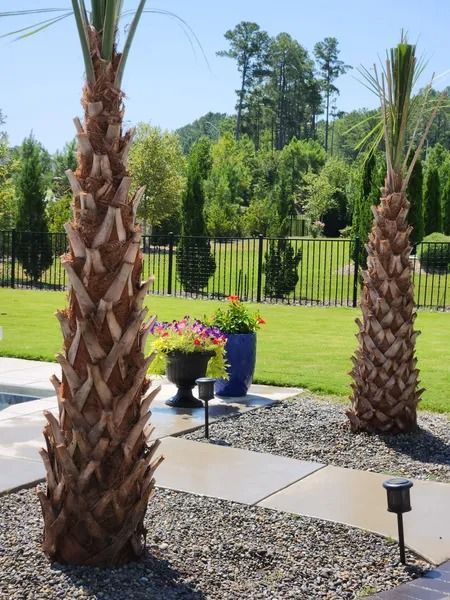 Two palm trees in a landscaped garden with potted flowers, patio stones, and a black fence in the background