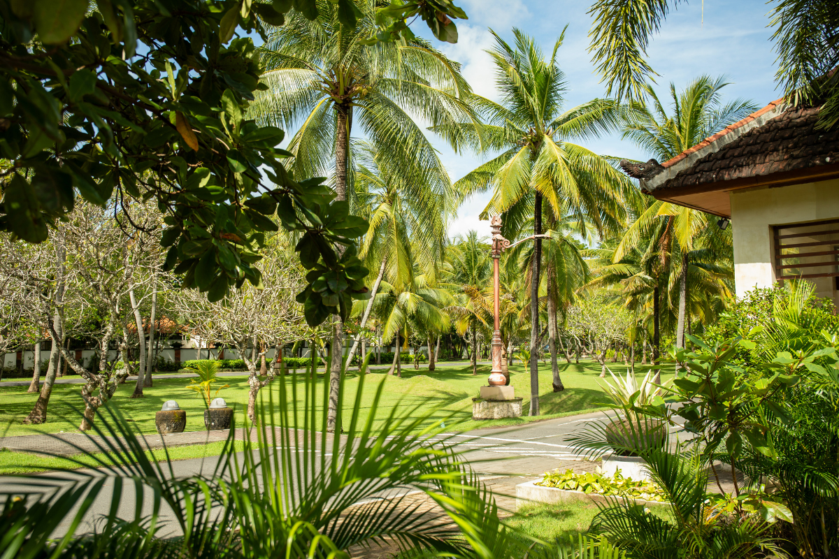 Tree fallen on a dark brown house, likely damaging the roof and deck, in a wooded area.