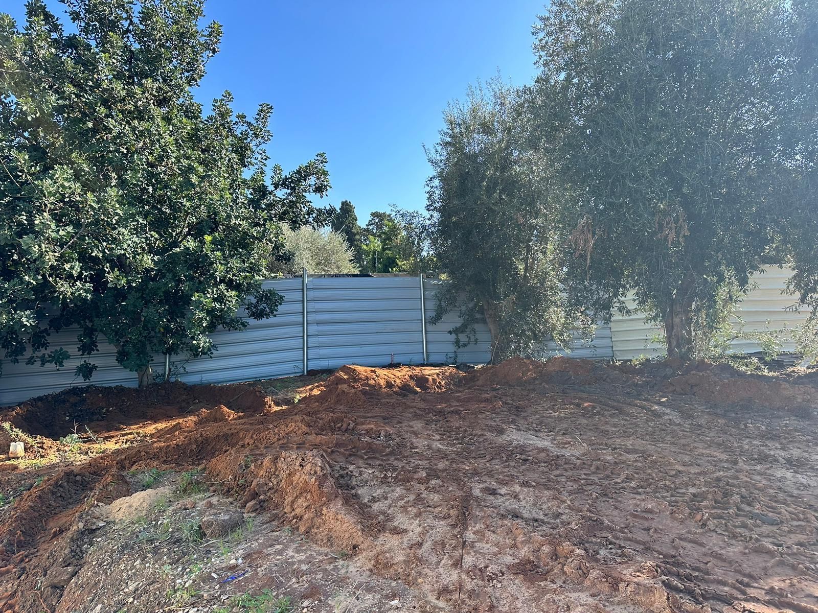 גדר איסכורית