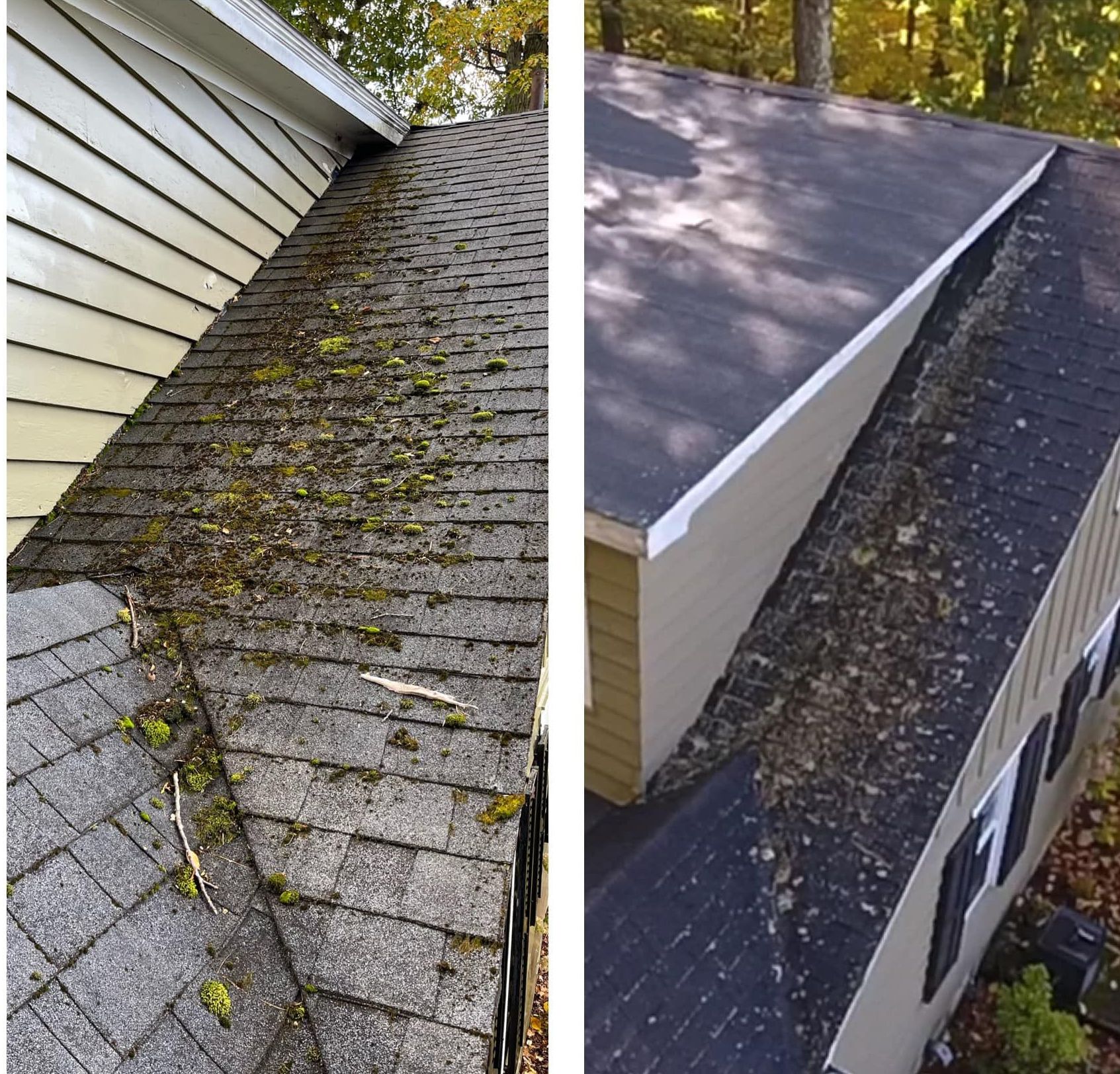 Non-Pressure Roof Cleaning