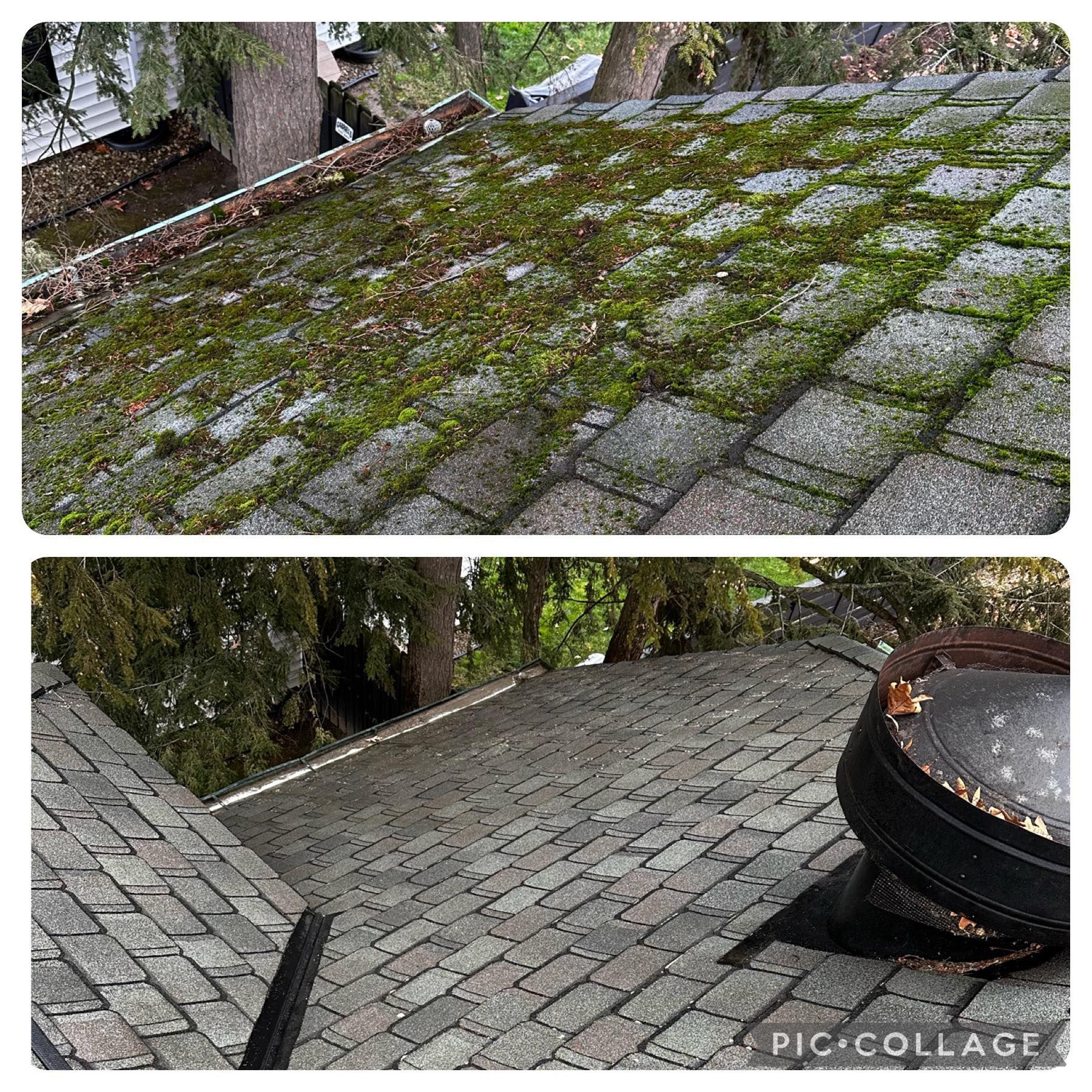  low-pressure pump, and a spray wand