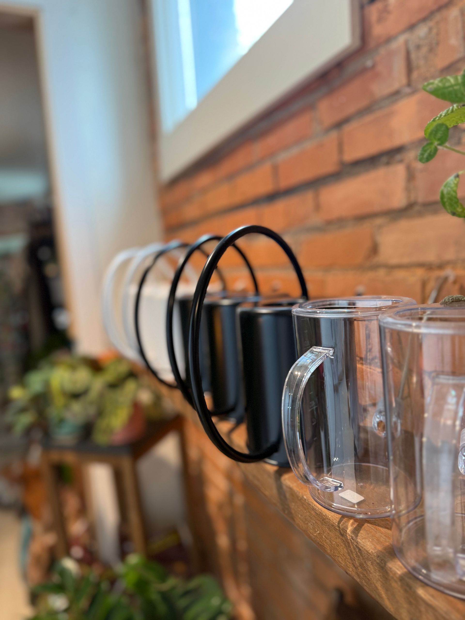 A hanging potted plant is hanging from the ceiling in a room.