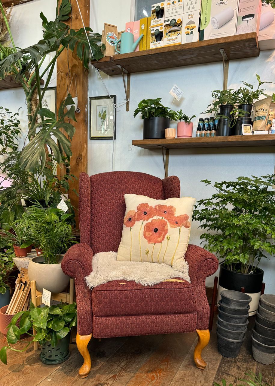 Green house plants around a red chair with a poppy throw pillow  inside the Leaf + Quiet plant boutique in Missoula, Montana