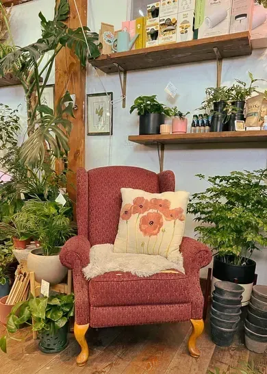 The checkout desk at Leaf + Quiet in Missoula, Montana features a cute blue and chartreuse plant pot with eyes holding a pepperonia plant