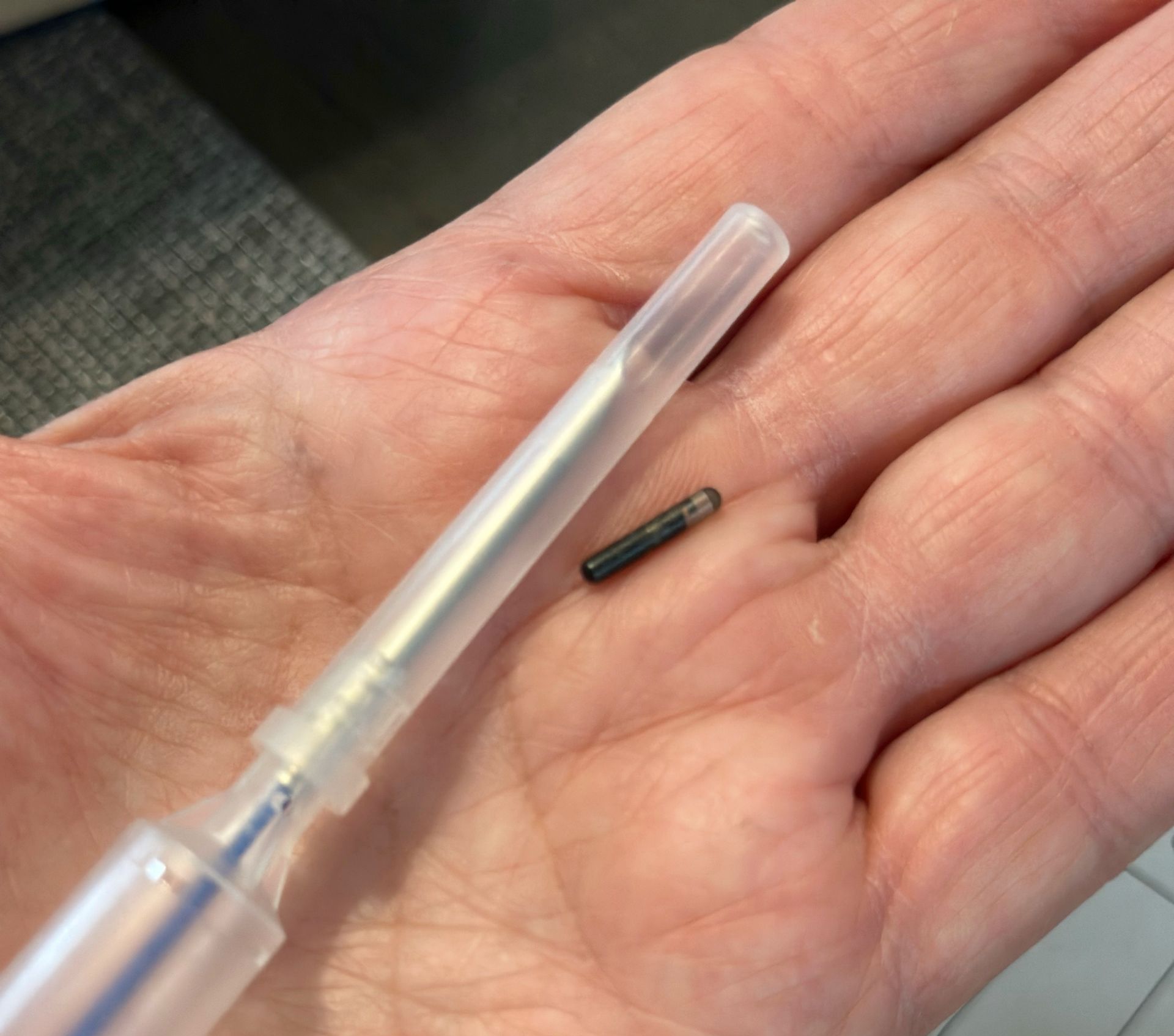 A dog microchip