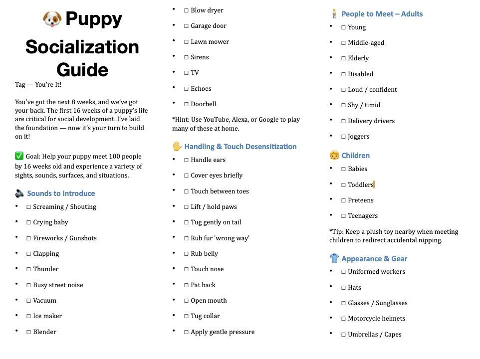 Spartan Rottweiler Socialization guide part 1