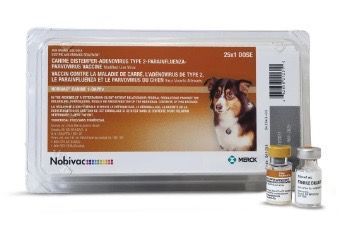 5 way vaccinations