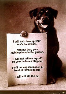 Puppy rules of conduct