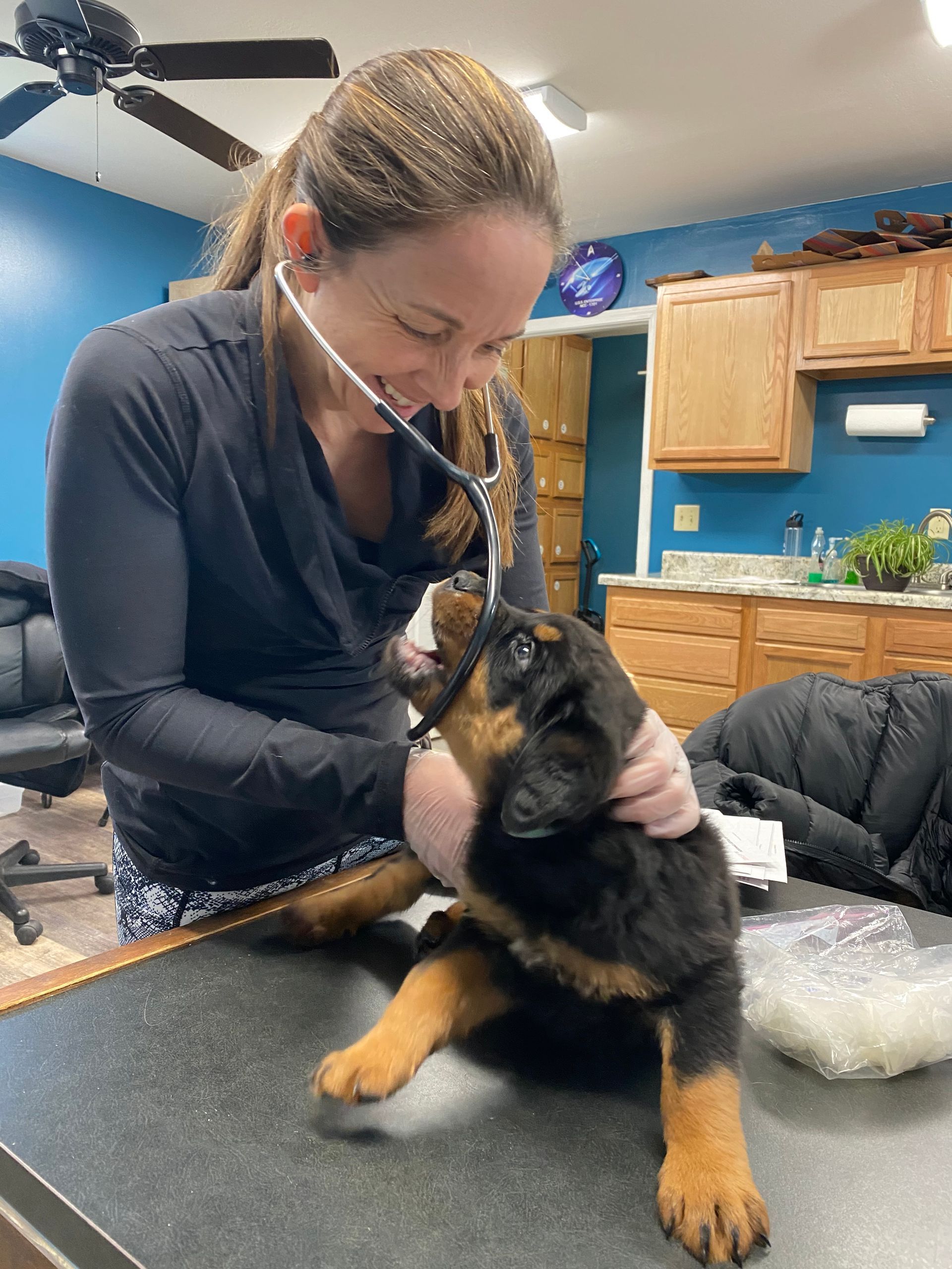 Health checkups  with Rottweiler puppy at Spartan Rottweilers