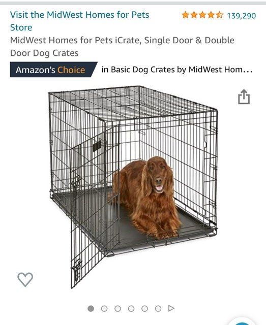 Large midwest dog kennel for crate training your dog
