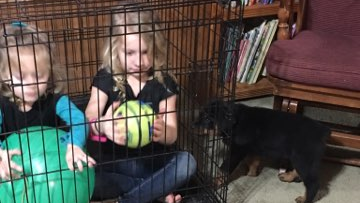 Children playing in dog kennel