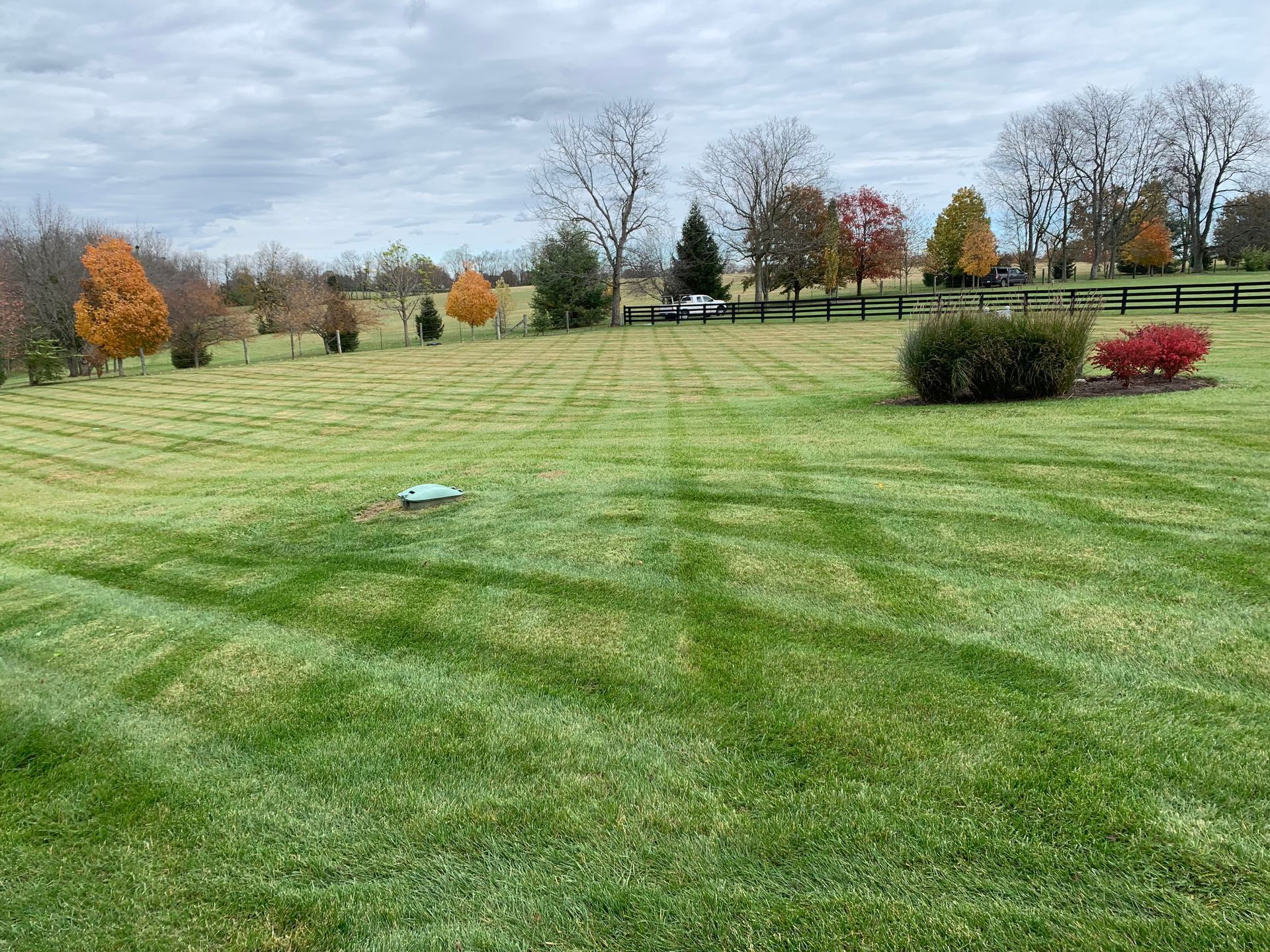 Lawn Mowing Care Expert - Nicholasville, KY - Grassy Lawns