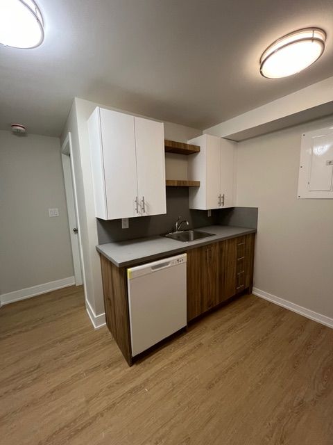 Small kitchen with white and wood cabinets, a dishwasher, and a sink.