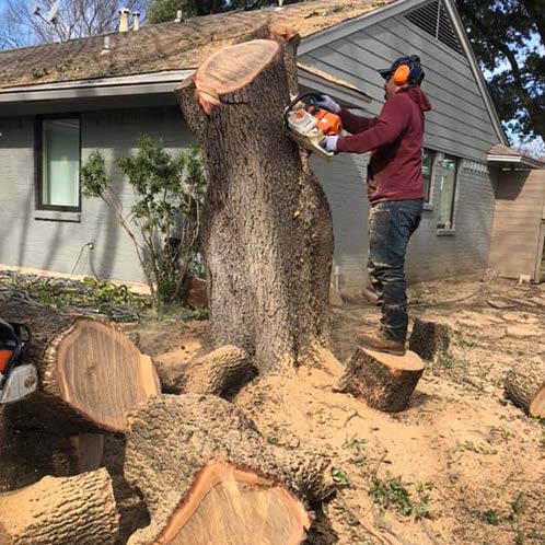 a man is cutting a tree stump with a chainsaw in front of a house .