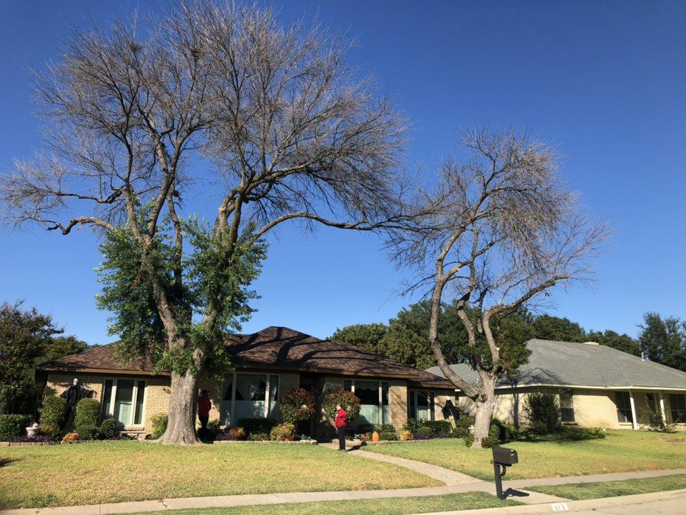 A house with a lot of trees in front of it.