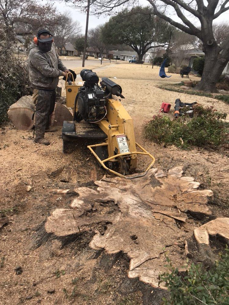 A man is using a stump grinder to remove a tree stump.