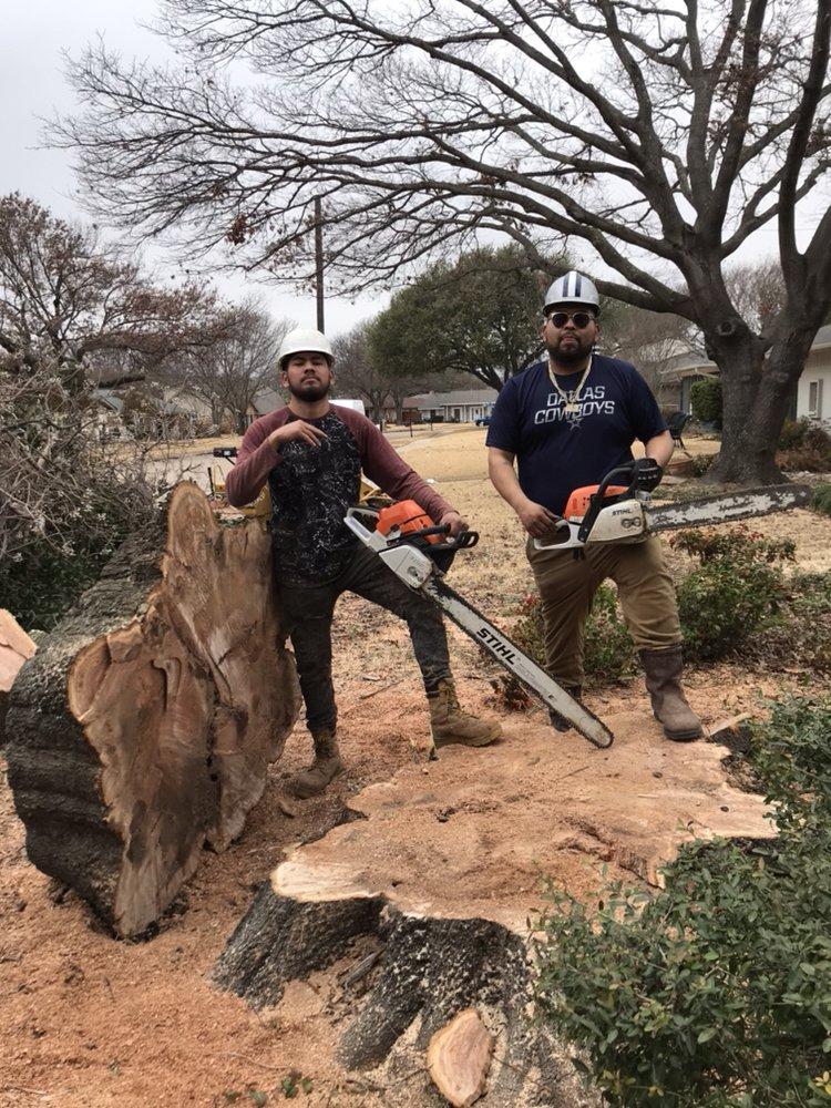 Two men are standing next to a tree stump holding chainsaws.