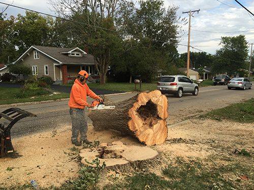 A man is cutting a large tree stump with a chainsaw.