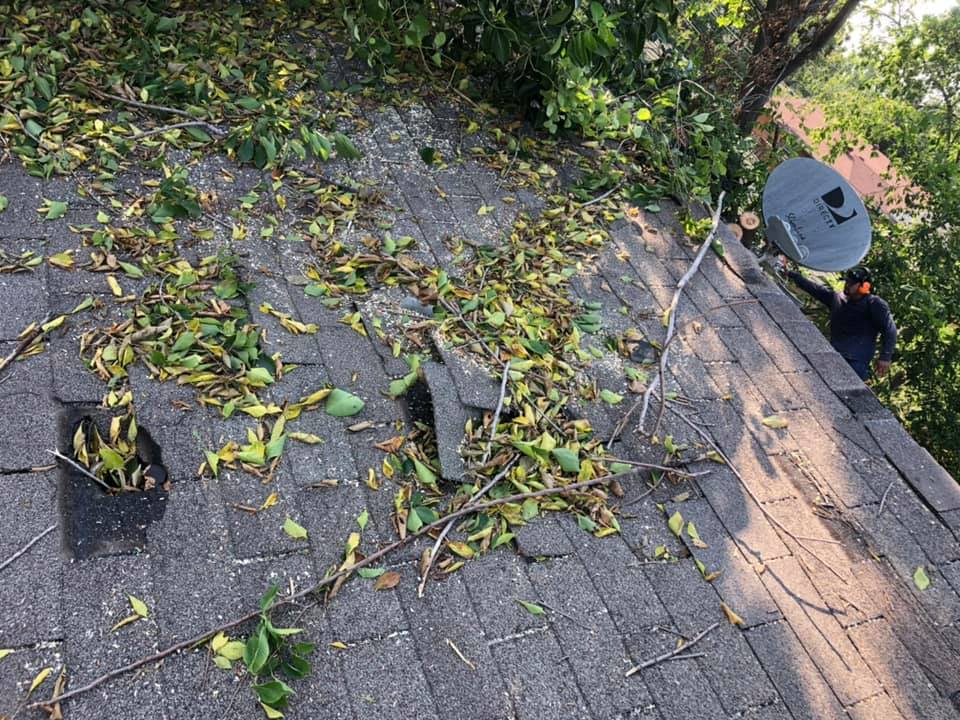A satellite dish is sitting on top of a roof covered in leaves.