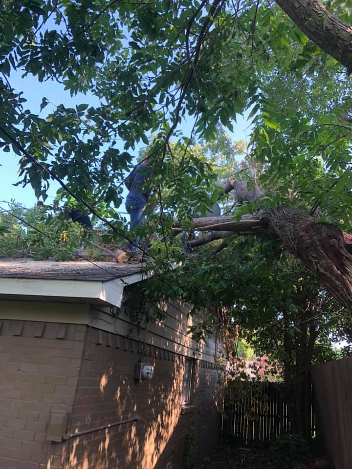 A man is standing on the roof of a house next to a tree that has fallen on it.