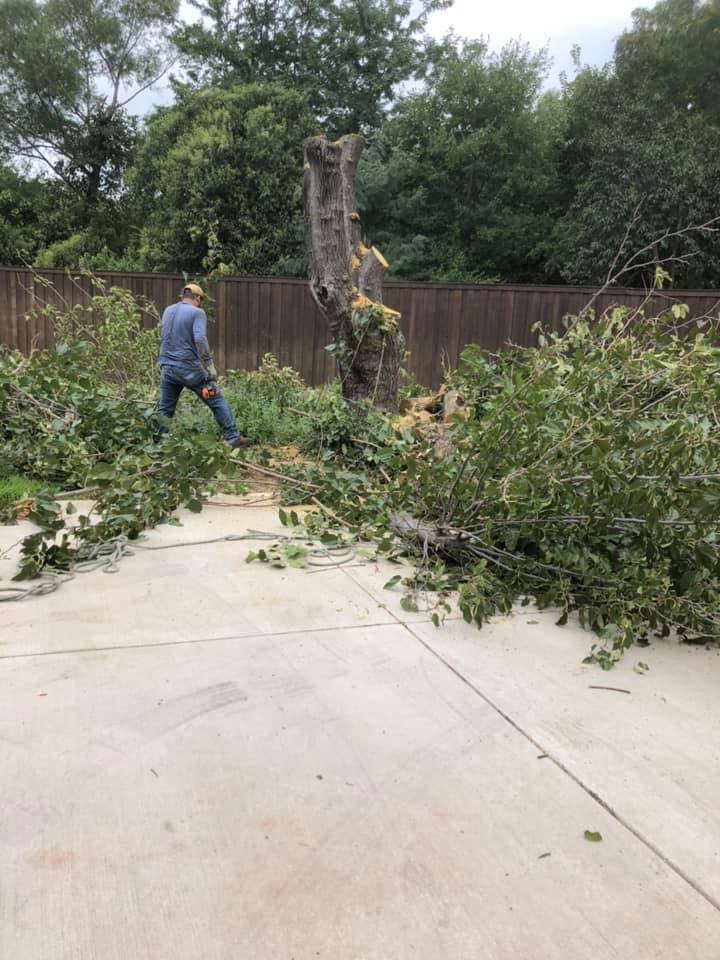 A man is standing next to a pile of branches in a driveway.