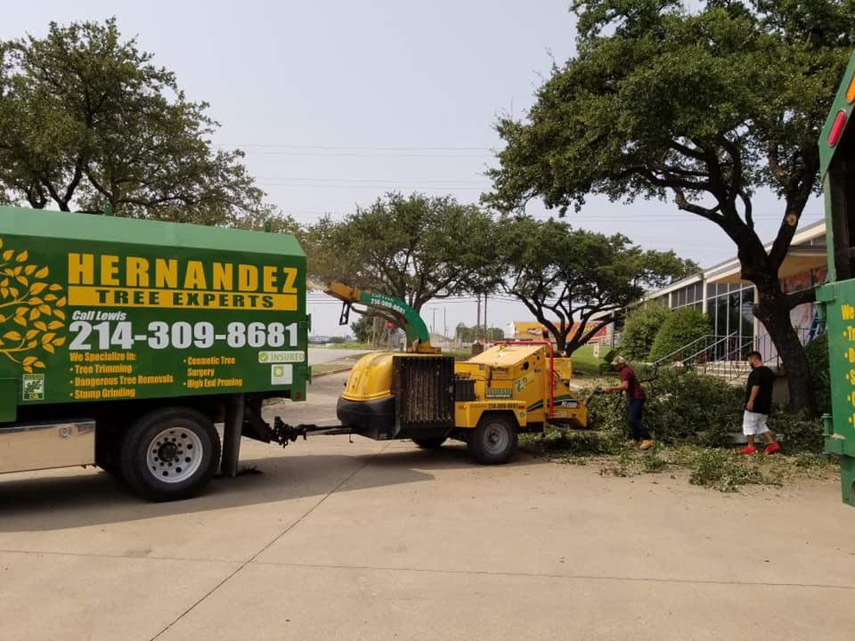 A hernandez tree service truck is parked in a parking lot