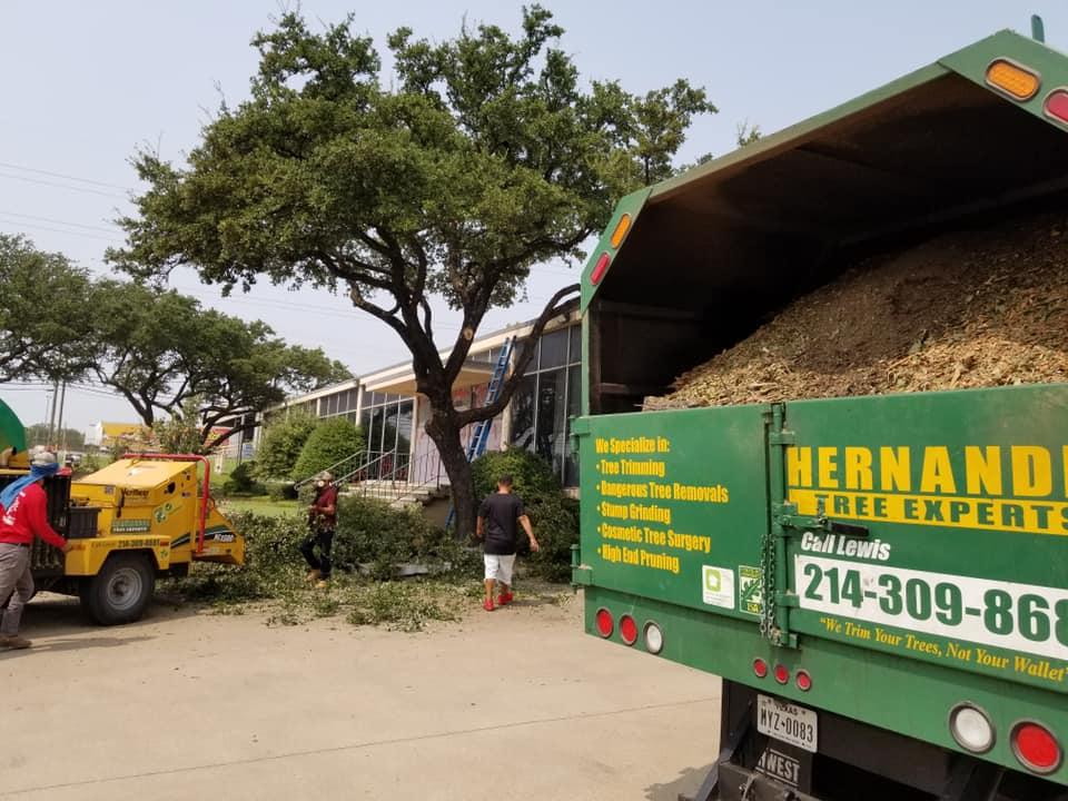 A hernandez tree experts truck is being used to remove trees