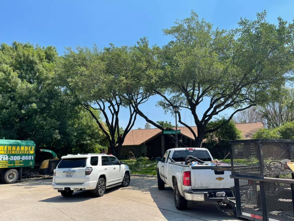 Two trucks are parked in a driveway in front of a house.