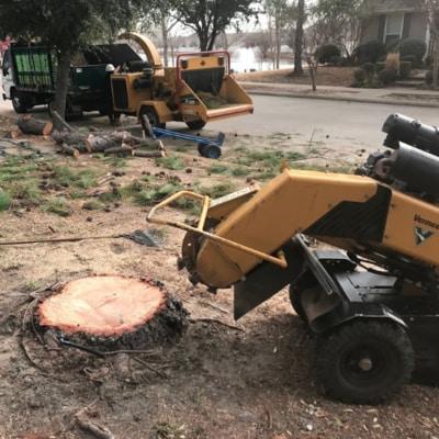 A stump grinder is sitting next to a tree stump.
