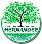 The logo for hernandez tree experts shows a tree with green leaves and roots.