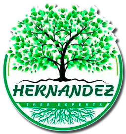 the logo for hernandez tree experts shows a tree with green leaves and roots .