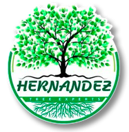 The logo for hernandez tree experts shows a tree with green leaves and roots.