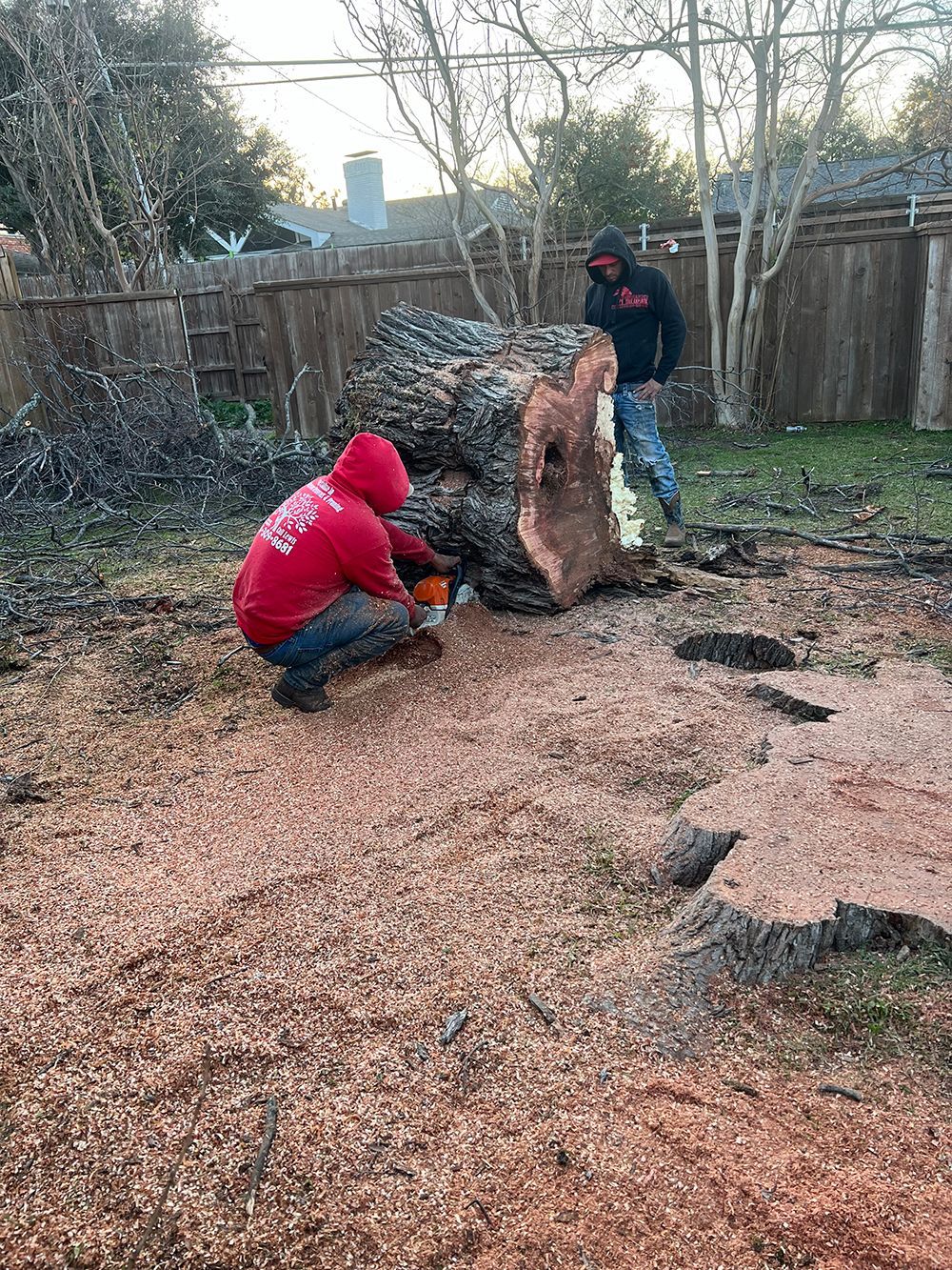A man is cutting a tree stump with a chainsaw.