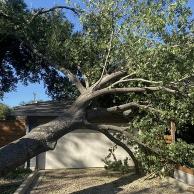 Fallen tree limb on a garage roof, brown trunk, green leaves, blue sky, sunny day.