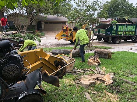 Tree removal crew working in a residential yard. Workers in green shirts feed wood into a chipper; a truck sits nearby.