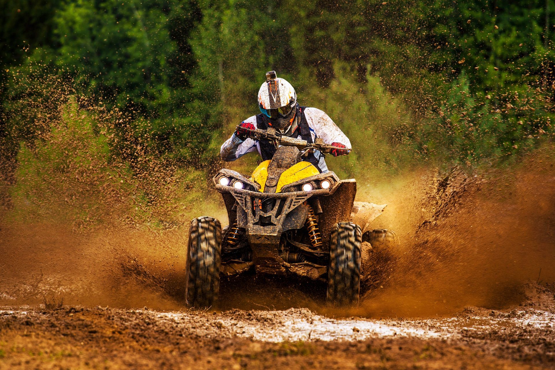 Un motociclista a bordo di un quad giallo sguazza nell'acqua fangosa su un sentiero sterrato, circondato da alberi.