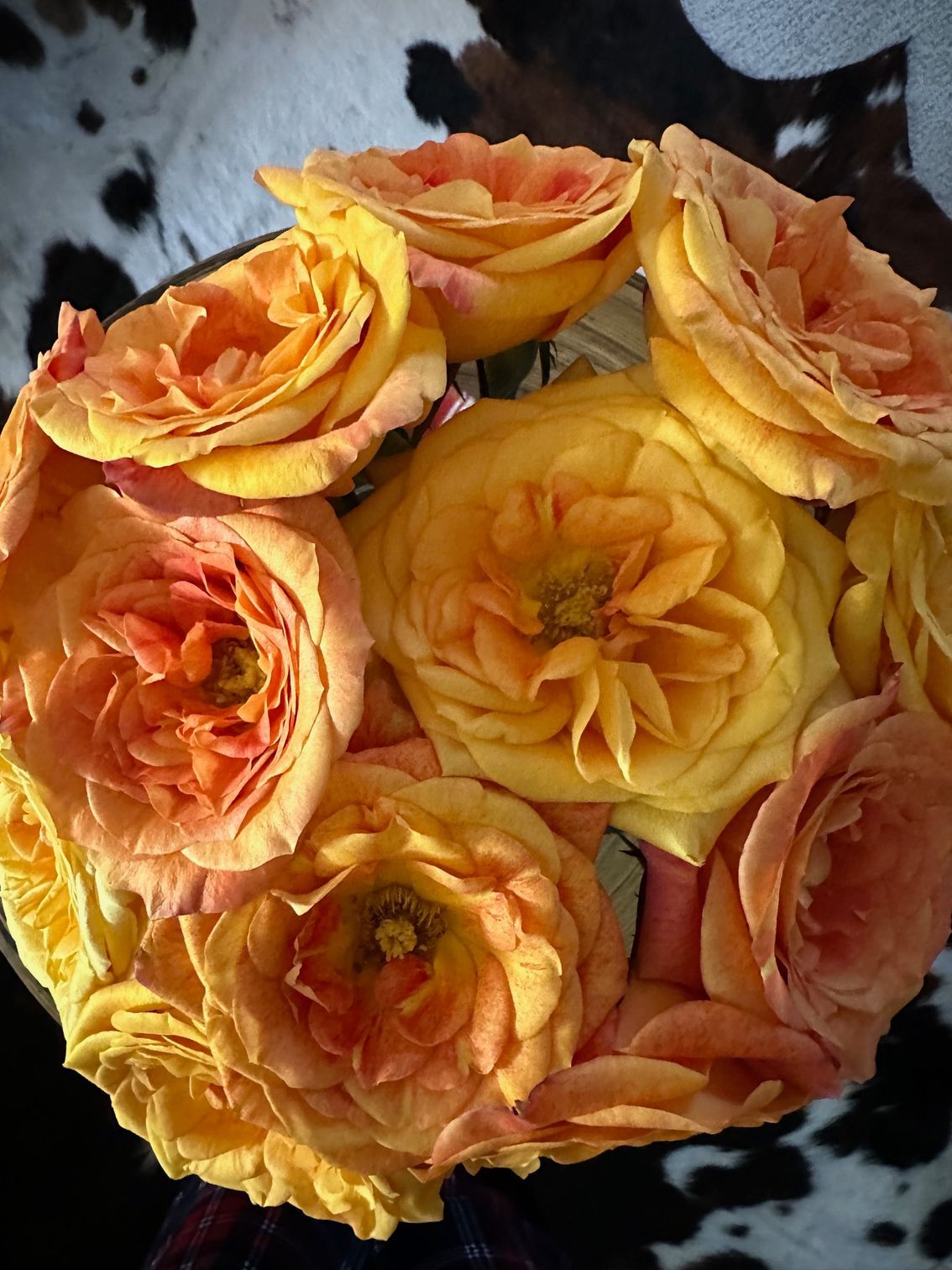 Bouquet of yellow and orange roses, tightly arranged.