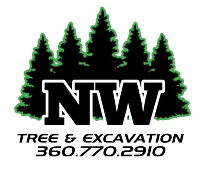team-information-quilcene-wa-nw-tree-excavation