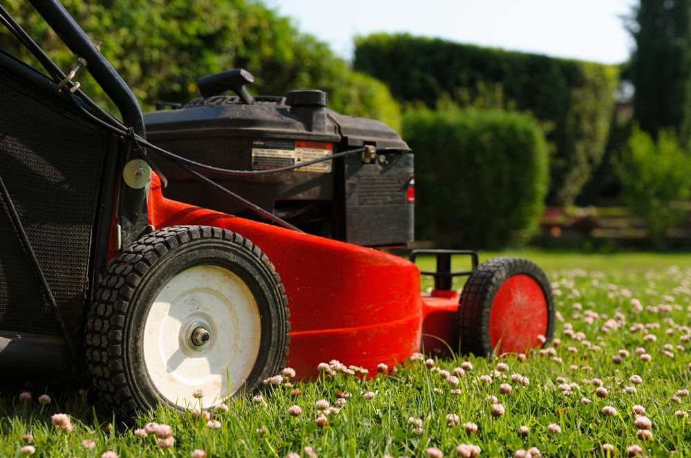 A Red Lawn Mower is Cutting a Lush Green Lawn — Tuggerah Outdoor Power in Tuggerah, NSW