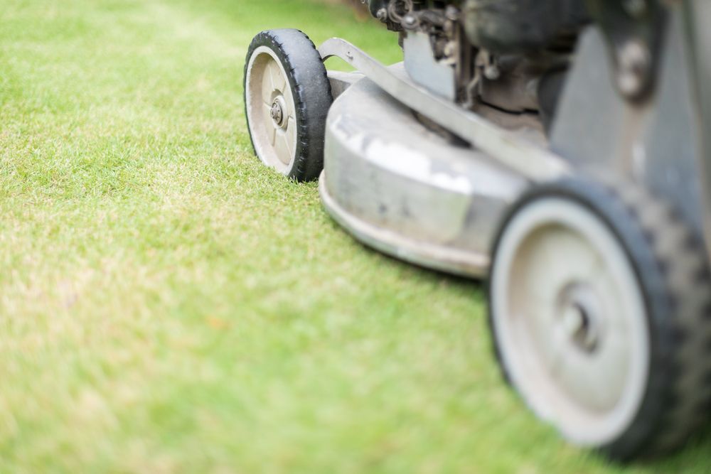 A Lawn Mower is Cutting a Lush Green Lawn — Tuggerah Outdoor Power in Tuggerah, NSW