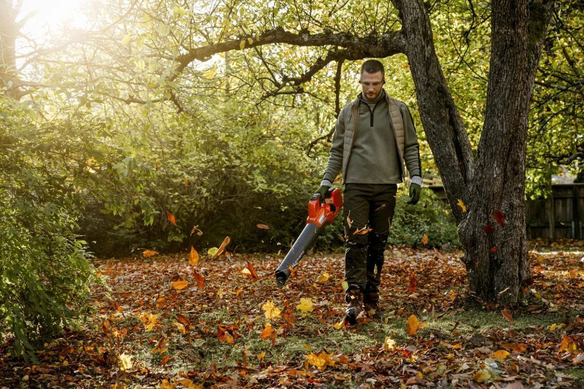 Man using a leaf blower to clear fallen leaves in a yard with trees in autumn.