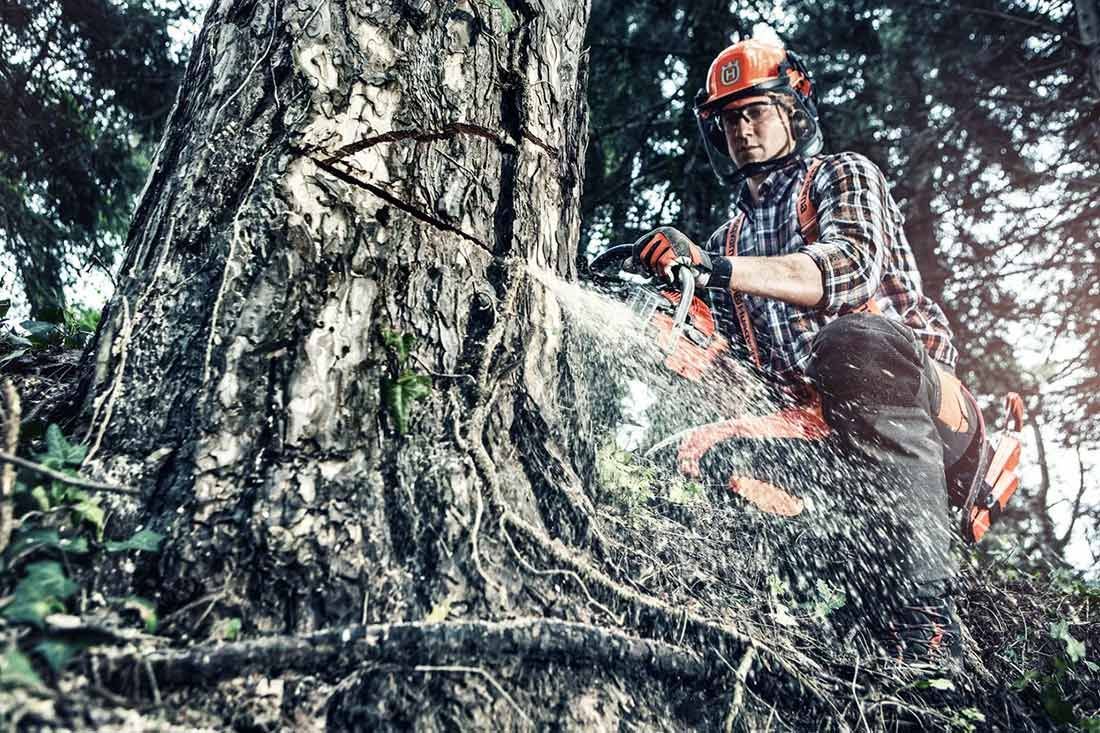 A Man is Cutting a Tree With a Chainsaw — Tuggerah Outdoor Power in Tuggerah, NSW