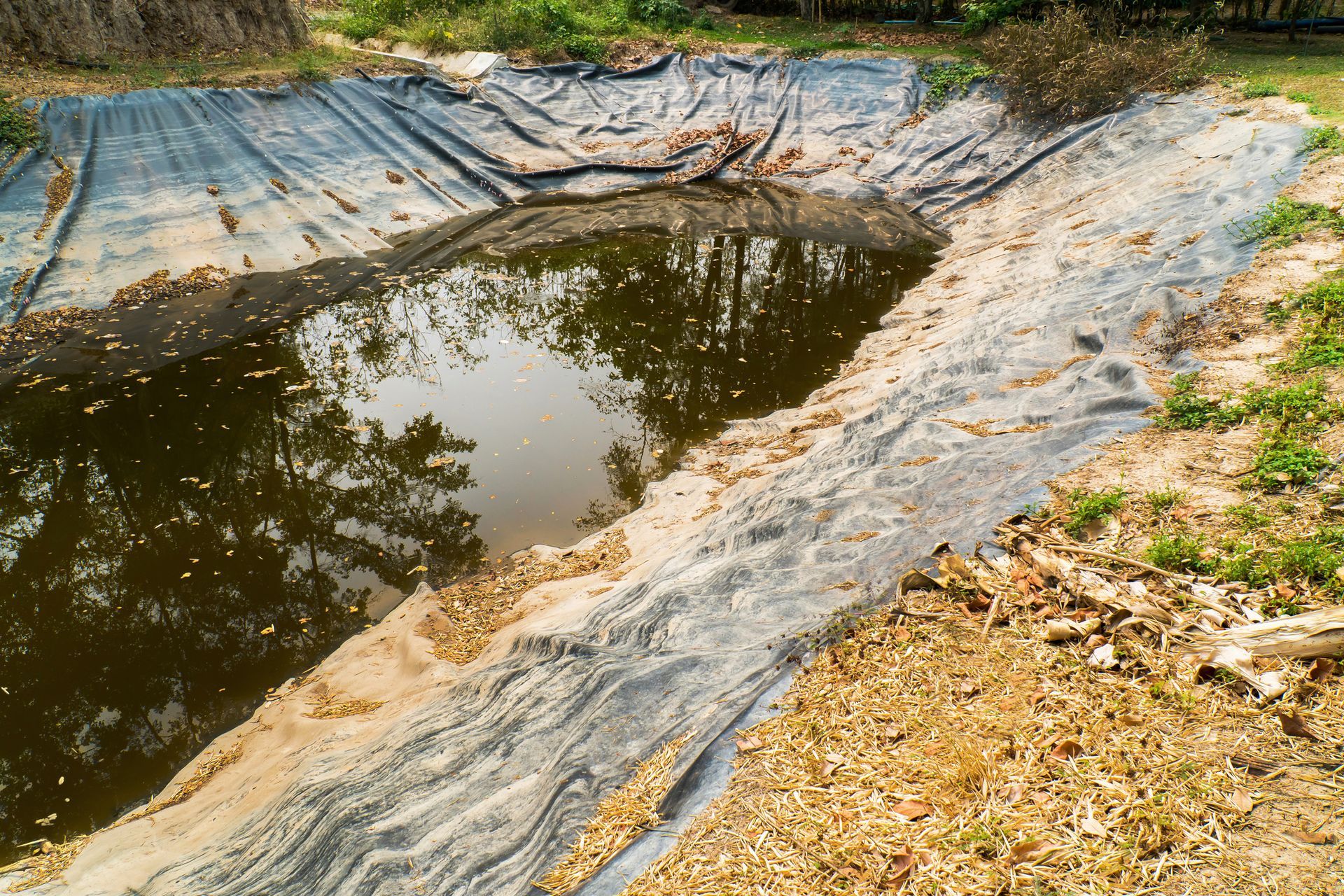 A murky pond lined with black plastic in a dry, grassy area.