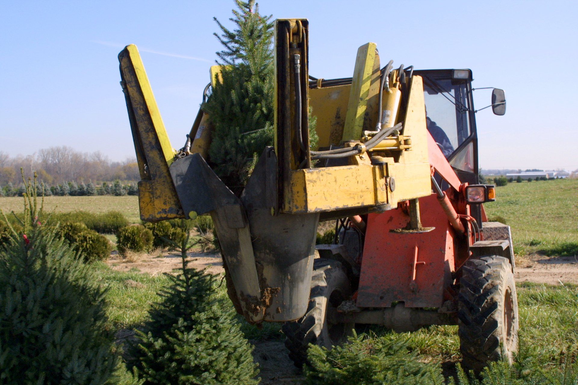 A machine for placing trees in protective burlaps