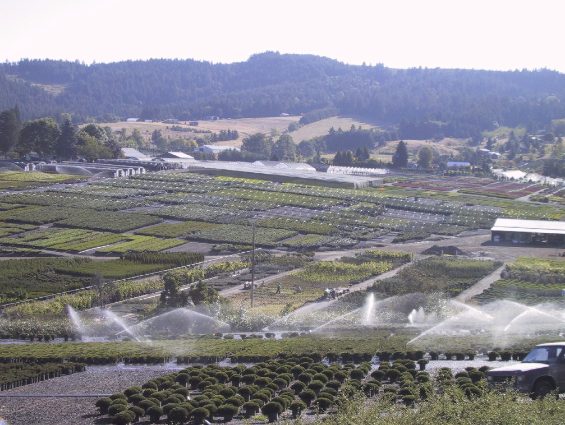 Drone shot of farmland.