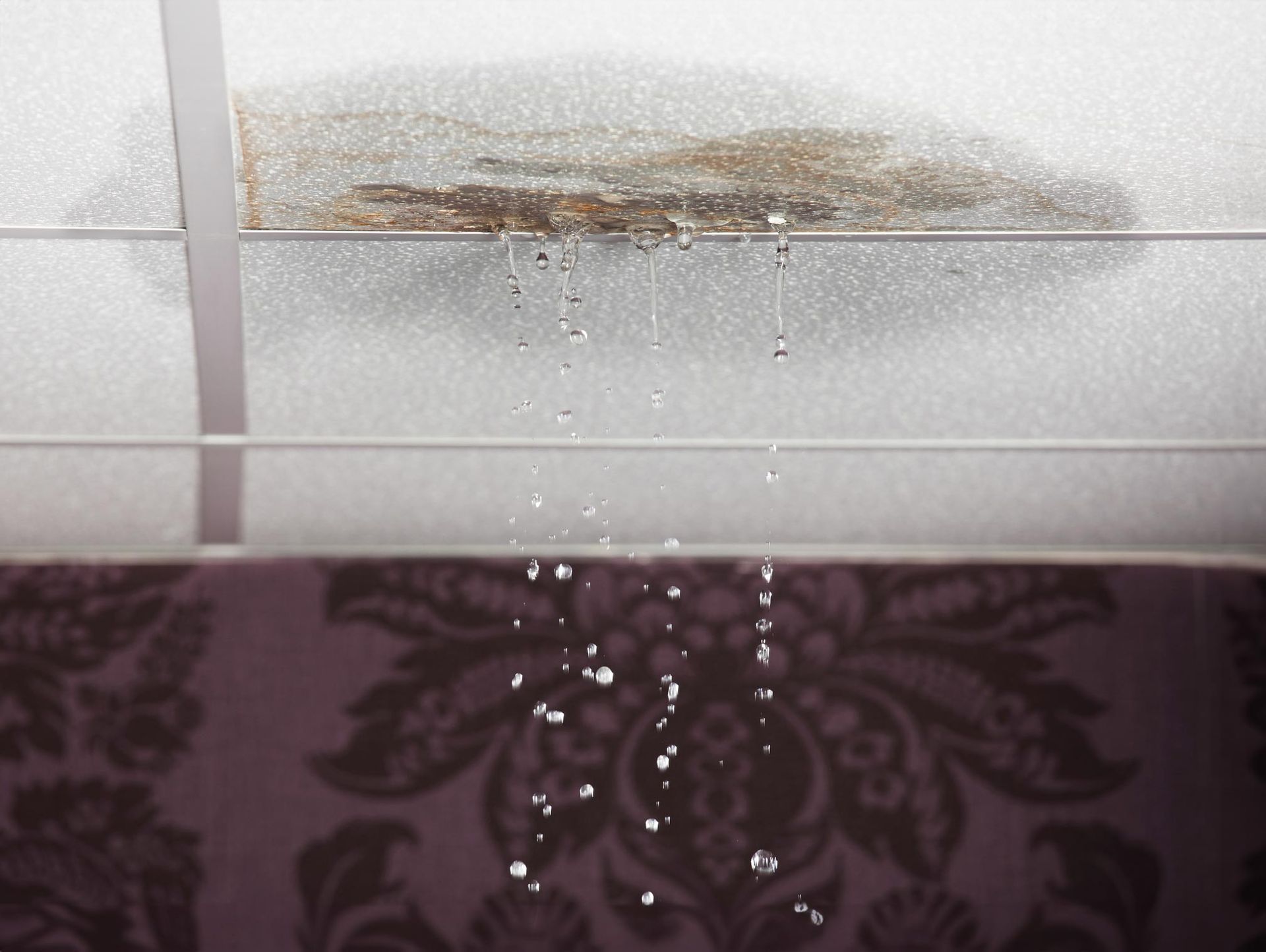 Roof Leak — Hastings, FL — Pristine Roofing Solutions LLC