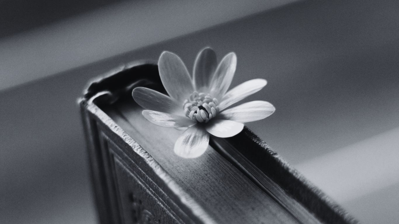 Flower in book, to keep appointment